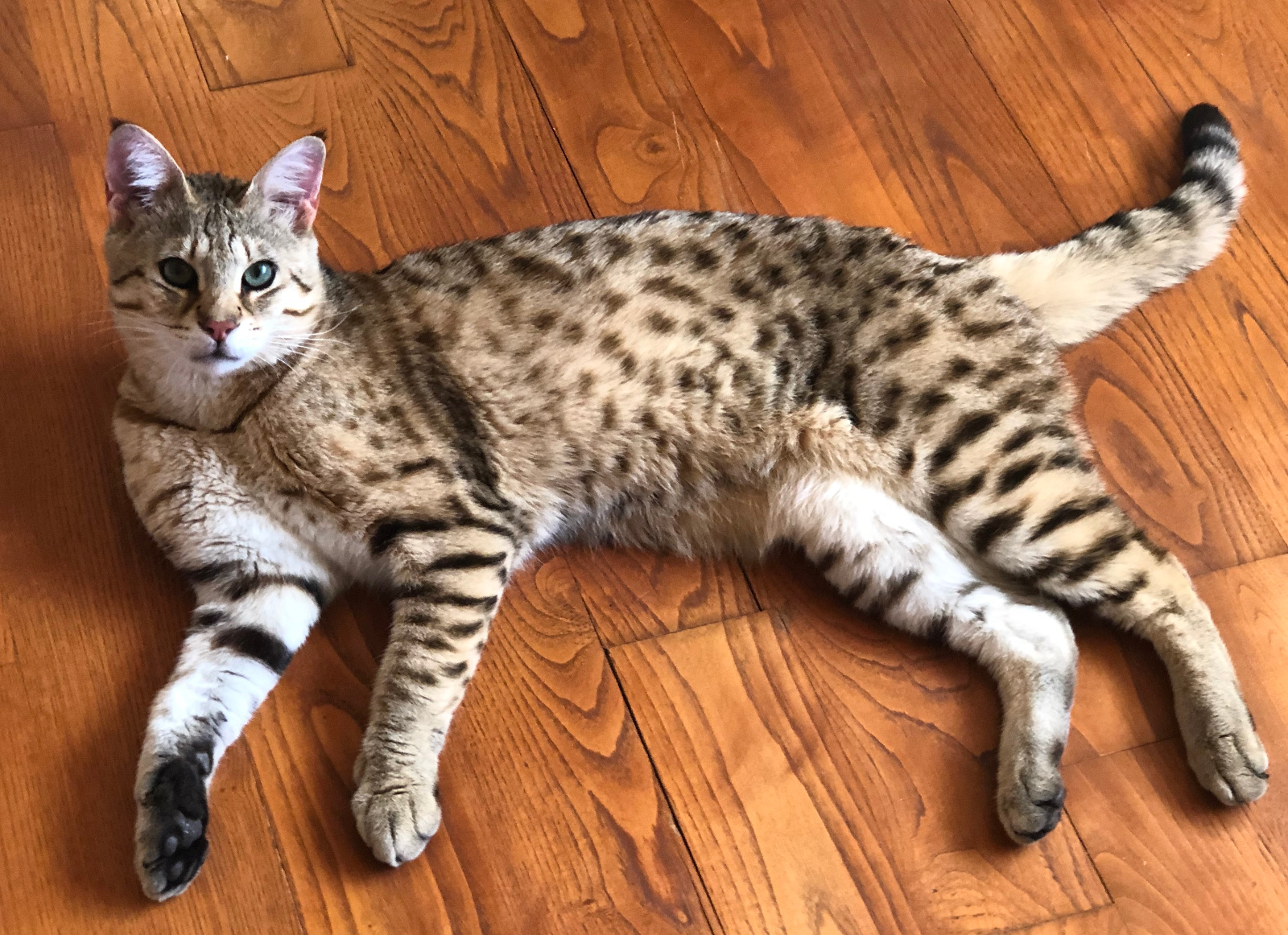 2020 08 02 20.23.12 1